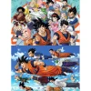 Puzzle 2 x 100 pièces : Dragon Ball - Educa