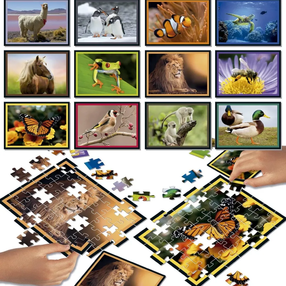 PUZZLE BATTLE 12 x 42 pièces : NATURE - Educa