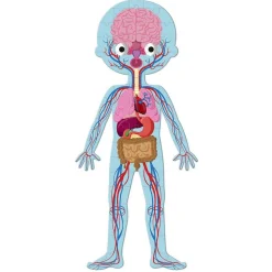 Puzzle éducatif géant : Le Corps Humain - Janod