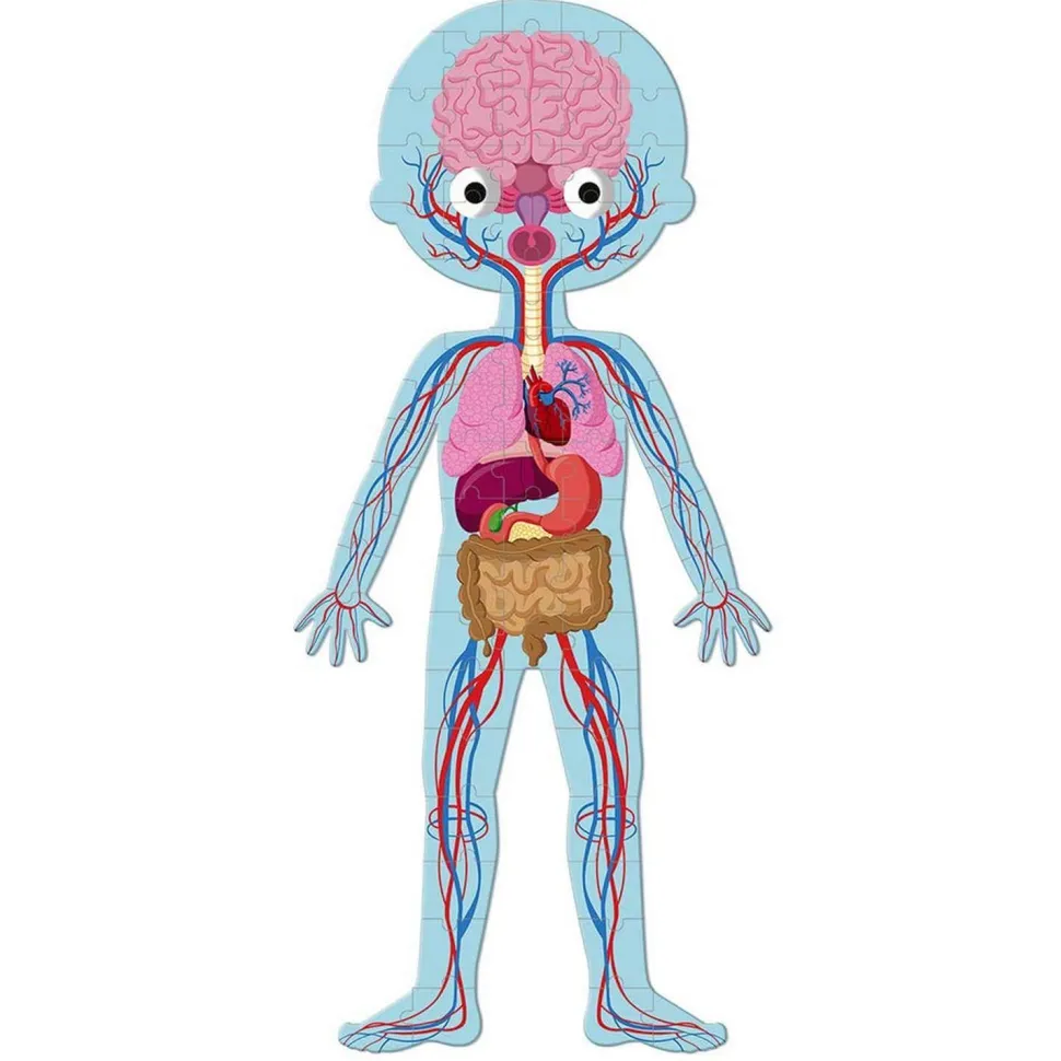 Puzzle éducatif géant : Le Corps Humain - Janod