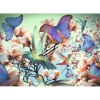 Puzzle Moment 300 pièces : Colibri - Ravensburger