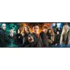 Puzzle panoramique 1000 pièces : Harry Potter - Clementoni