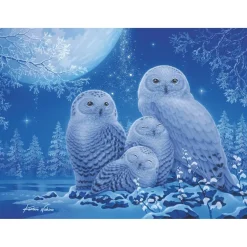 Puzzle Star Line 500 pièces : Chouettes au clair de lune - Ravensburger