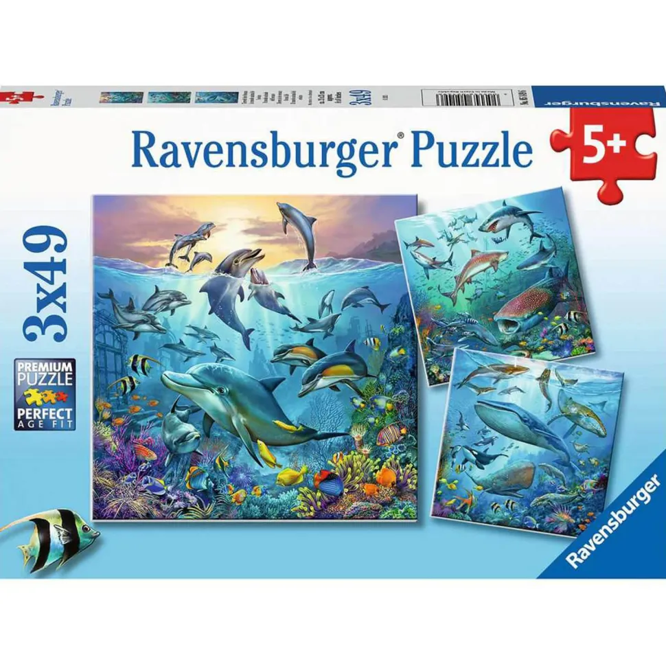 Puzzles 3 x 49 pièces : Le monde animal de l'océan - Ravensburger