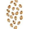 Sachet de 20 coquillages Cauris DORES 2x1,5 cm - RueDeLaFete
