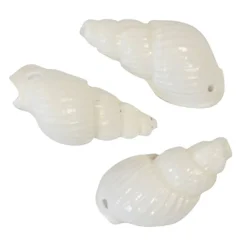 Sachet de 24 Coquillages TORSADéS Blancs - RueDeLaFete