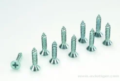 Vis Tole Conique 3.5X25 Acier (10) - GF-0176-010 - Gforce